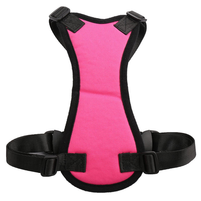 Car seat belts for pets 🇨🇳