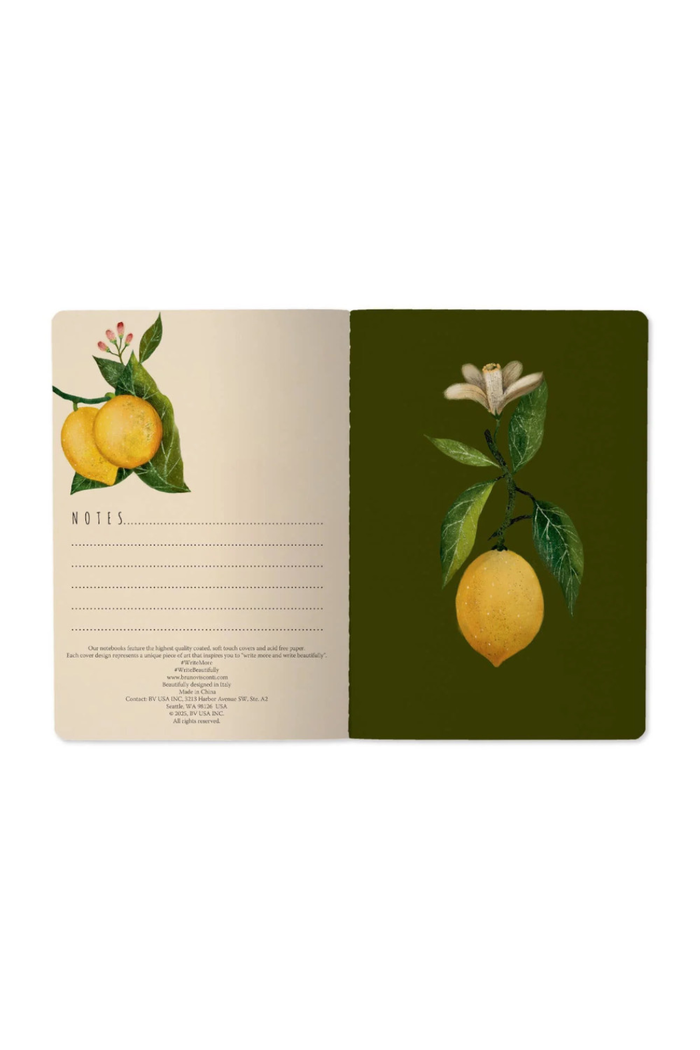 Bruno-Visconti-Lemons-Notebook