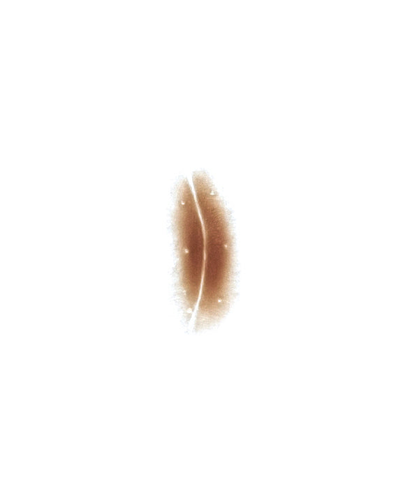Sunken Scar 4