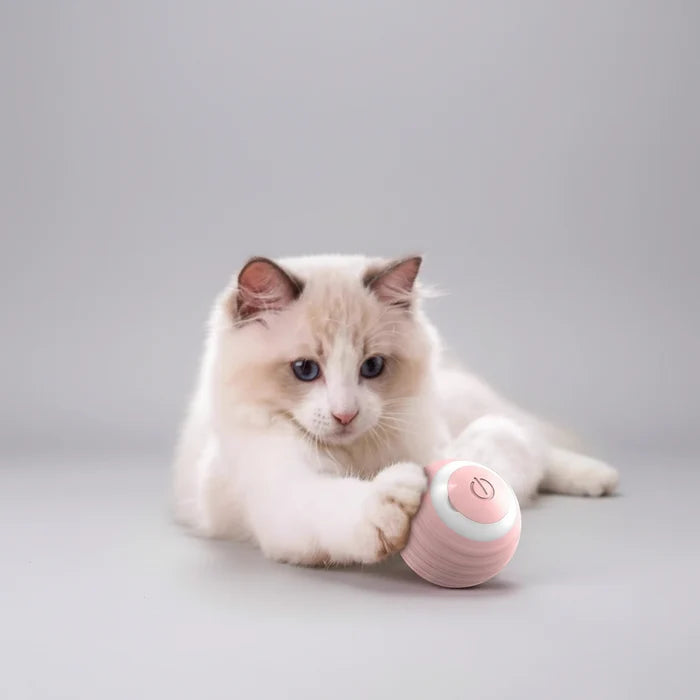smart cat toy ball normal version durable abs material 42 mm size interactive rolling play for indoor cats