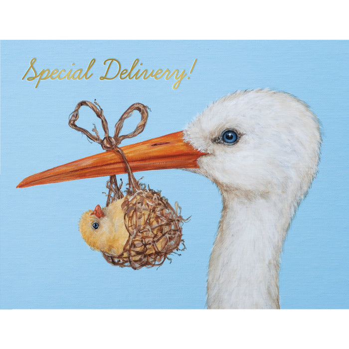 A baby blue greeting card featuring a charming illustrated portrait of a stork holding a small yellow chick in a woven grass bundle dangling from its beak, with the message "Special Delivery!" printed in gold foil script.