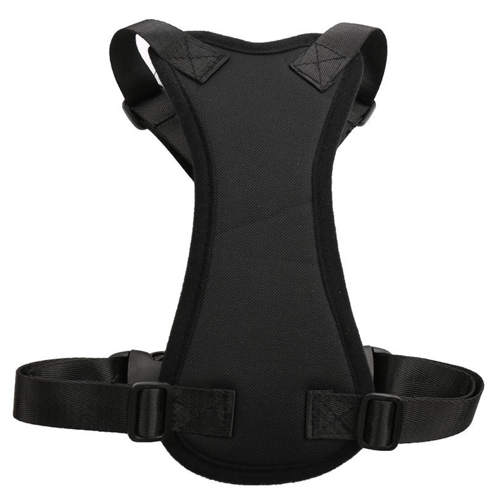 Car seat belts for pets 🇨🇳