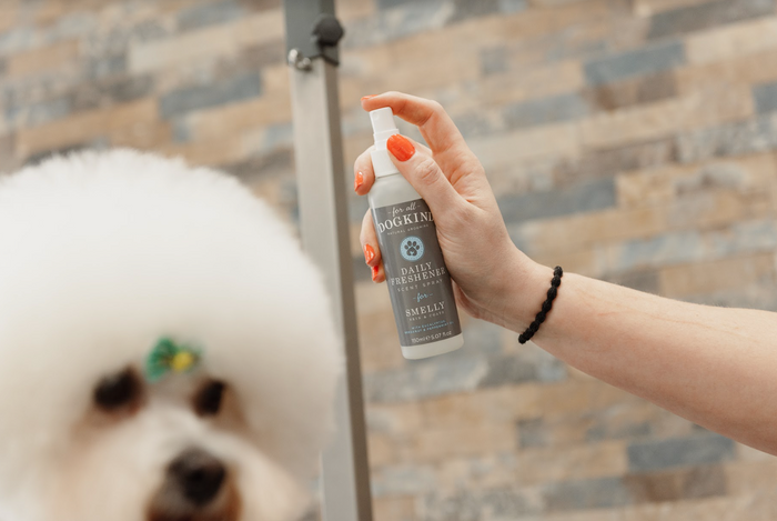 DAILY FRESHENER SCENT SPRAY FOR SMELLY SKIN & COATS - TRADE