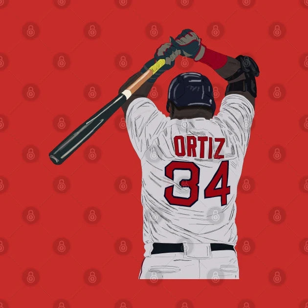 David Ortiz Hoodie