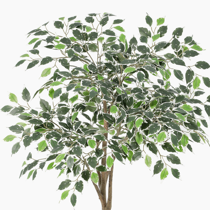 Artificial tree with green leaves on a white background