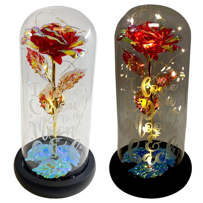 ITEM NUMBER 023338 JUMBO GLASS KEEPSAKE 2 PIECES PER DISPLAY