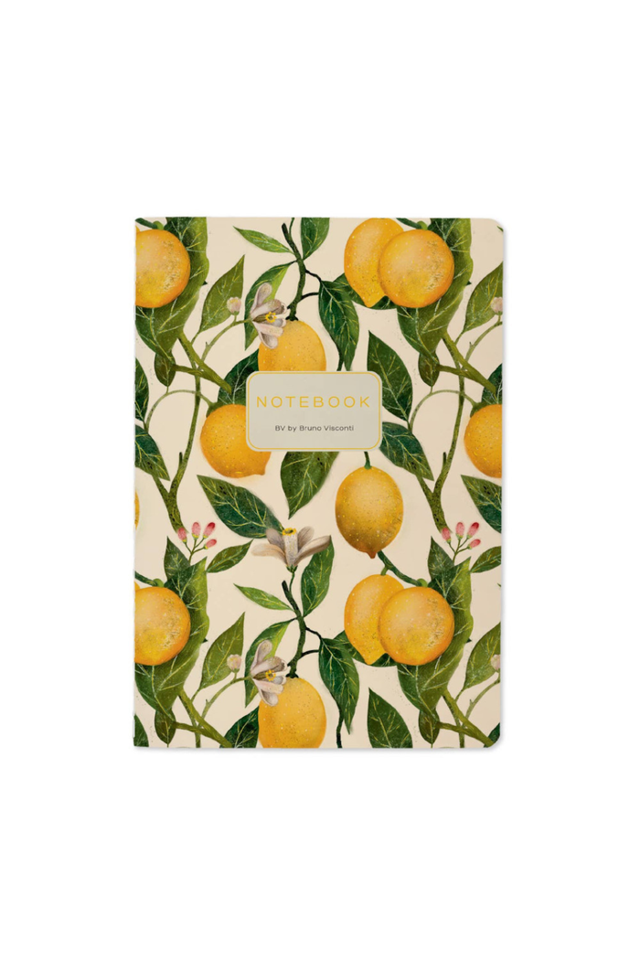 Bruno-Visconti-Lemons-Notebook