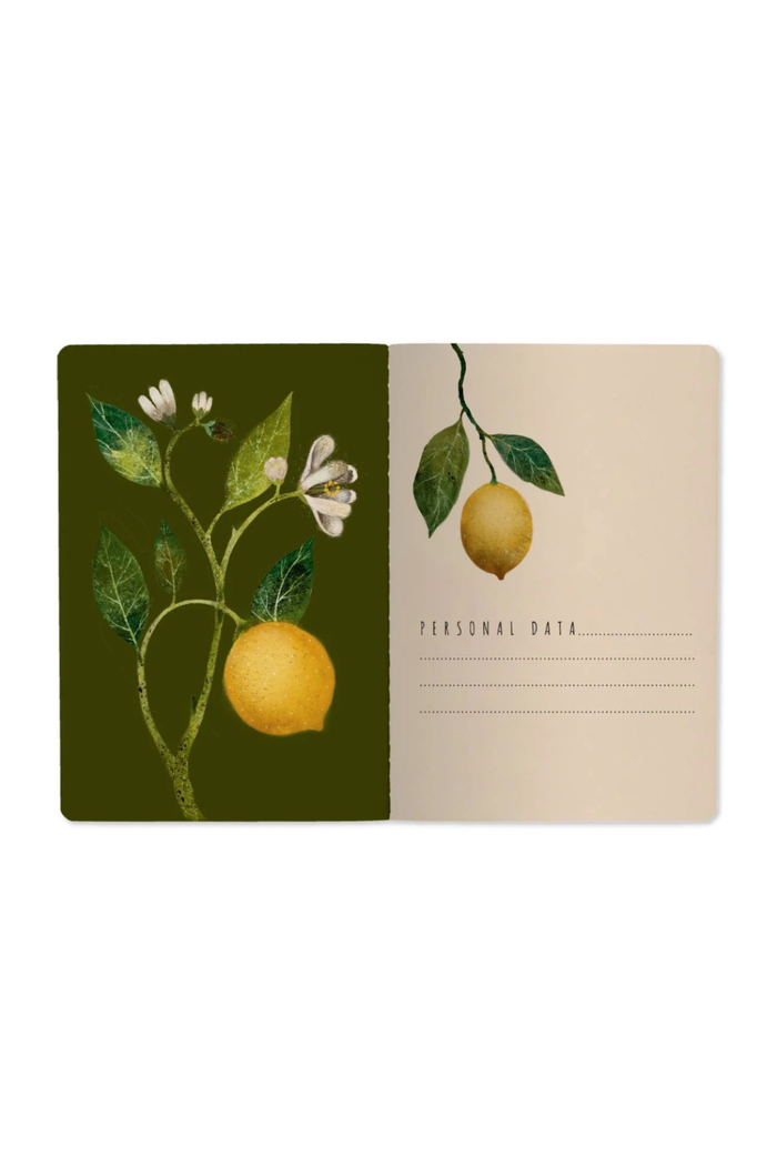 Bruno-Visconti-Lemons-Notebook