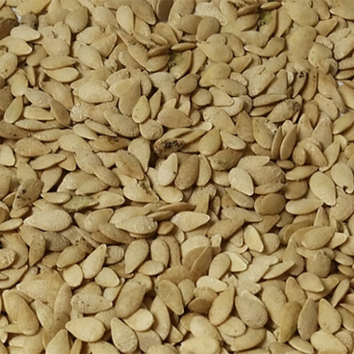 Melothria-scabra-Cucamelon-Seeds