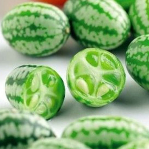 Melothria-scabra-Cucamelon-Seeds