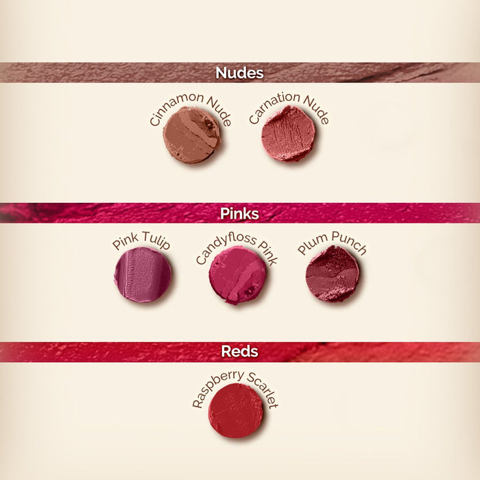 Moisture Matte Longstay Mini Lipstick- 0.7 g | Cinnamon Nude