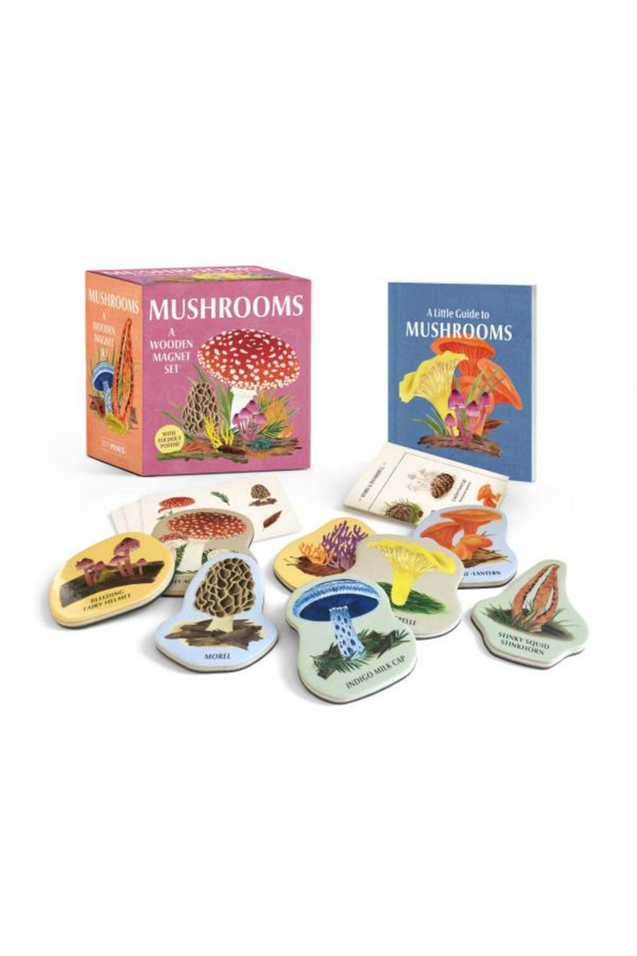 HACHETTE-BOOK-GROUP-MUSHROOMS-A-WOODEN-MAGNET-SET