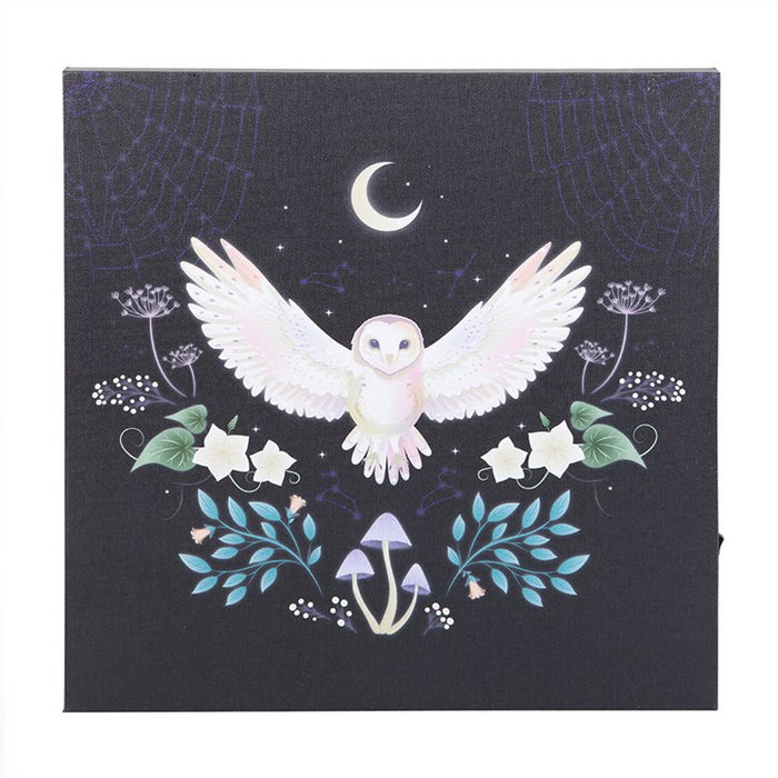Night Owl Light Up Canvas Plaque 🇬🇧