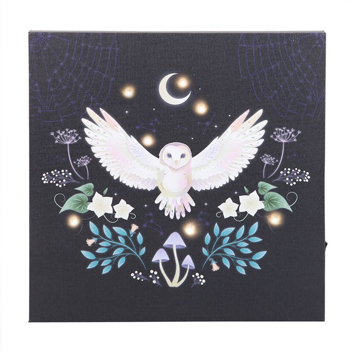 Night Owl Light Up Canvas Plaque 🇬🇧