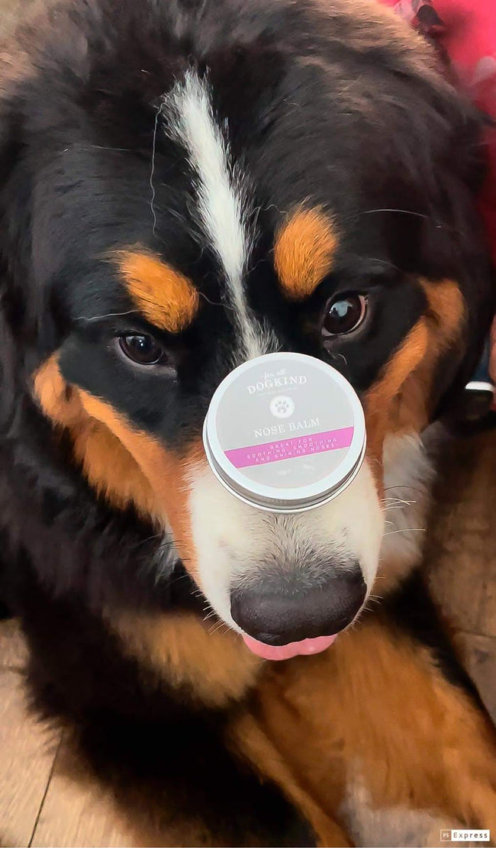 Nose Balm 20g