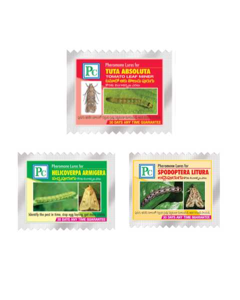 Pheromone Combo Pack Replacement Lures for TOMATO Traps & Lures