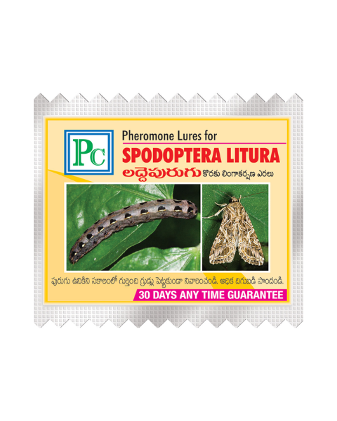 Pheromone Combo Pack Replacement Lures for TOMATO Traps & Lures