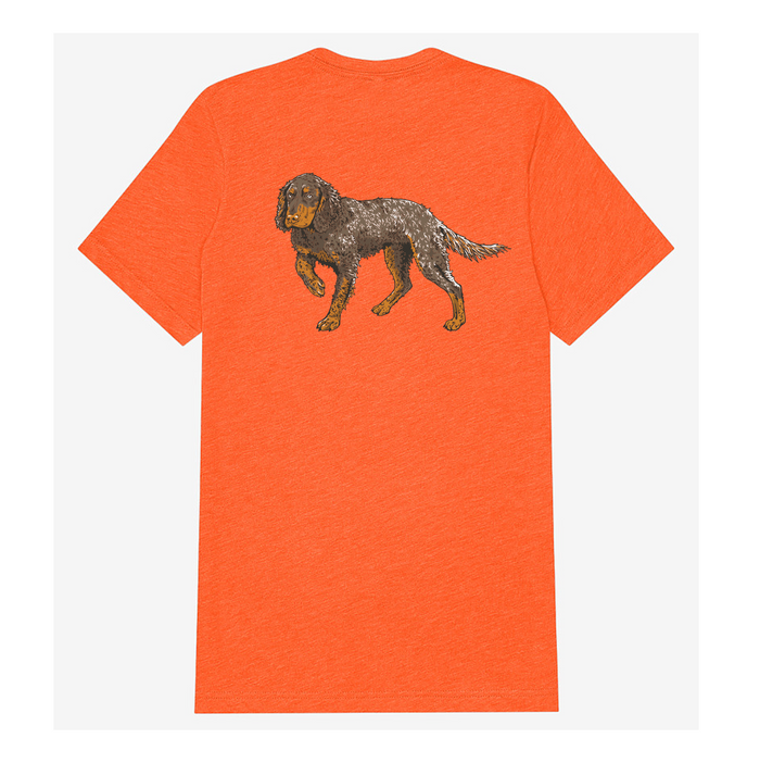 |Blaze Orange