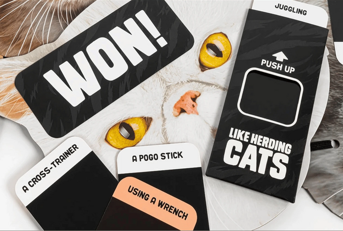 Professor Puzzle: Like Herding Cats