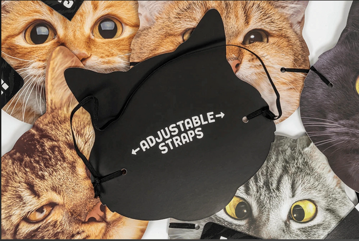 Professor Puzzle: Like Herding Cats