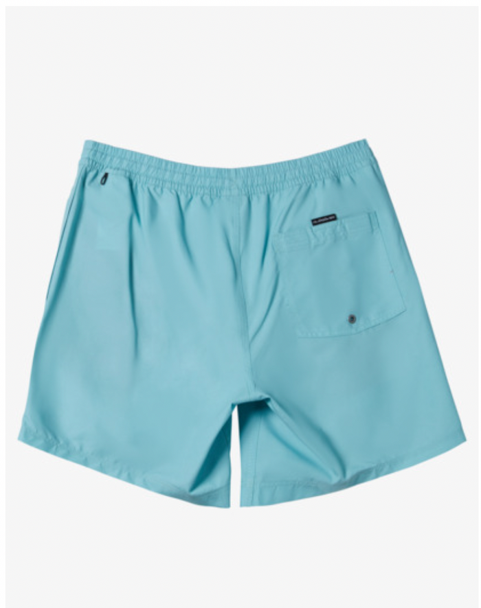 Quiksilver Everyday Solid Volley - Boys -