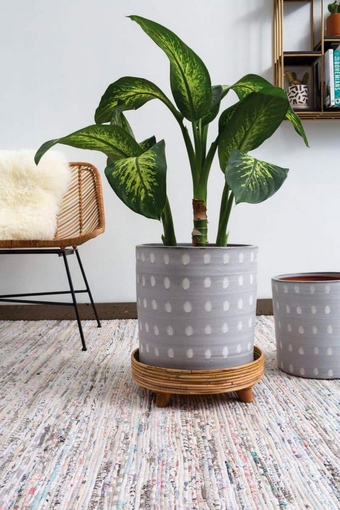 Accent-Decor-Rica-Plant-Stand