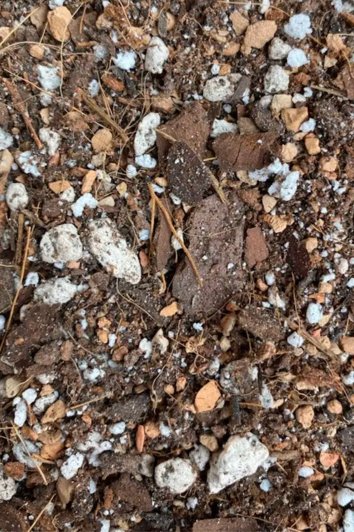 Sol-Soils-Amendment-Soil-Houseplant-Chunky-Mix
