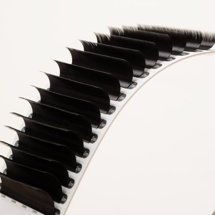 Open lash tray displaying perfectly aligned rows of Volume Mayfair Lashes 0.07
